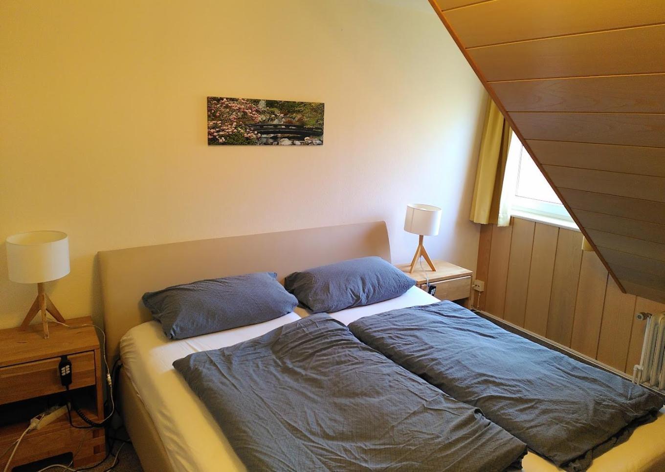 Hotel Bio-hotel Zum Forsthaus Altenau (Lower-Saxony)